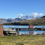  Grytviken, South Georgia